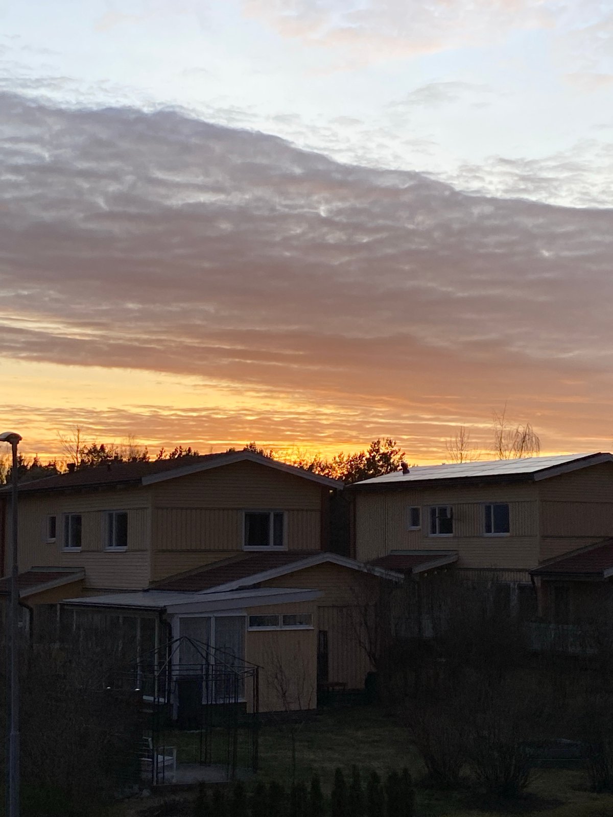Cat owner documents evening pet activities during sunset in Sweden