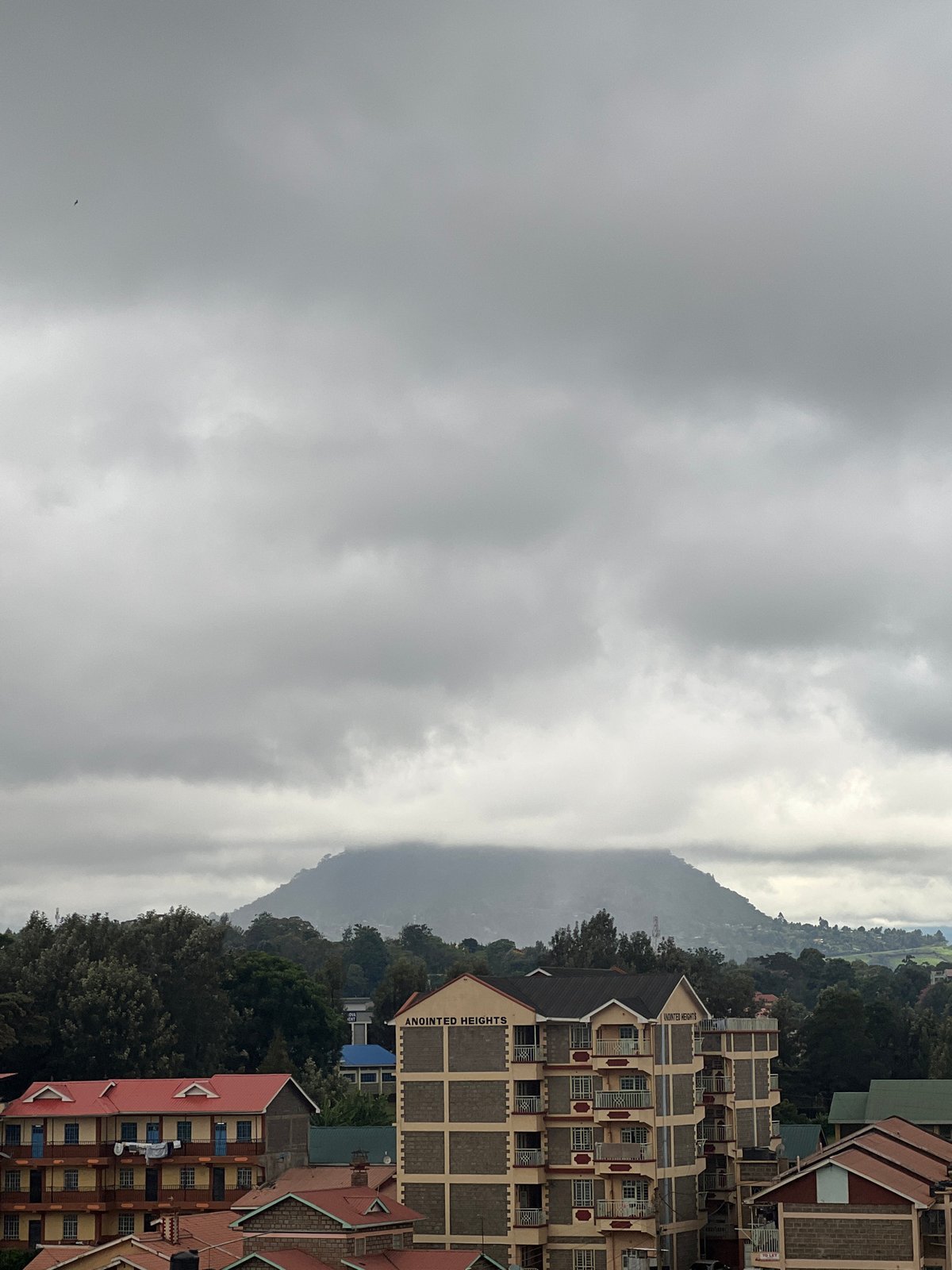 Morning scenes documented in Nyeri, Kenya