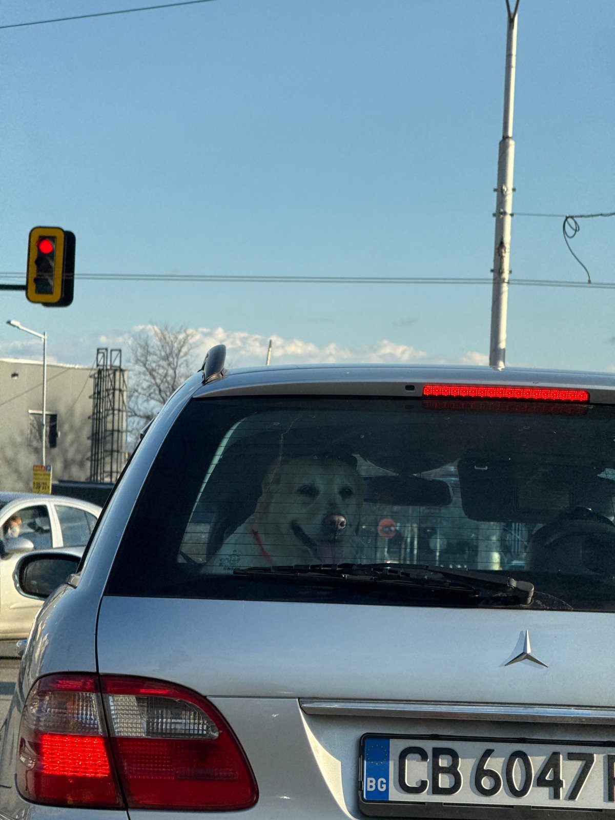 Routine moments captured during afternoon in Sofia, Bulgaria