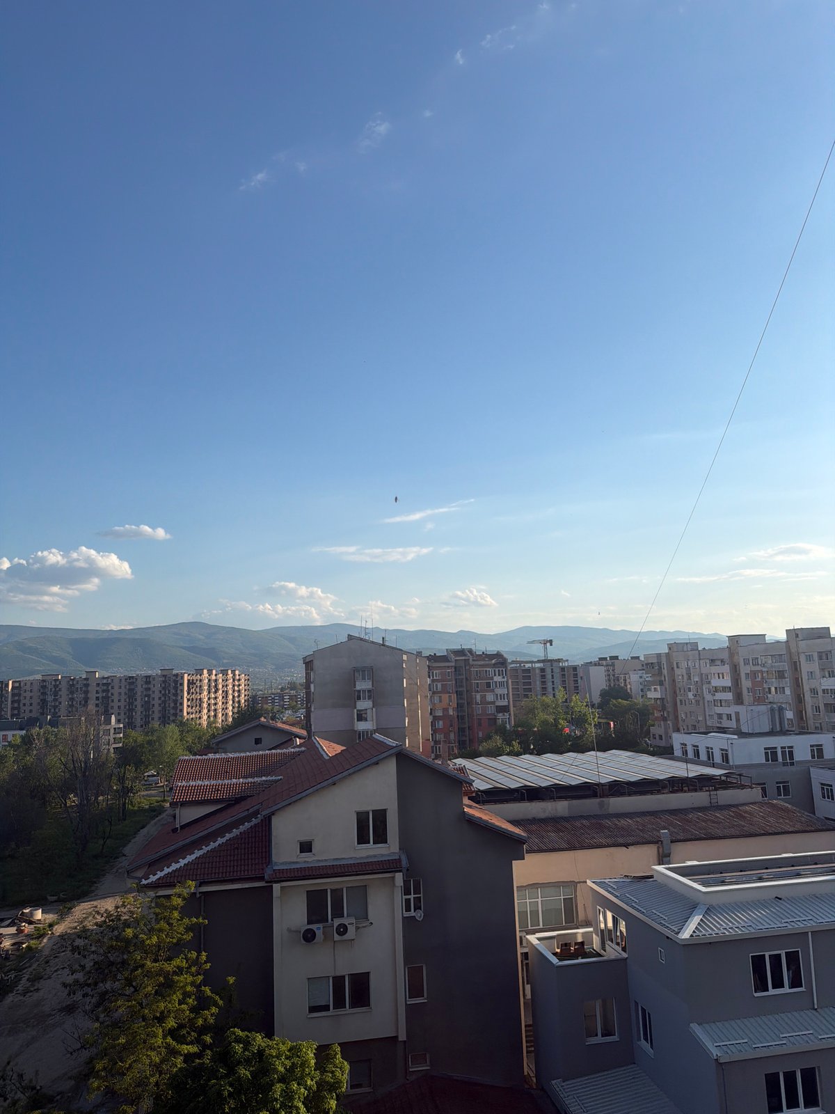 Urban and botanical scenes documented in Plovdiv, Bulgaria