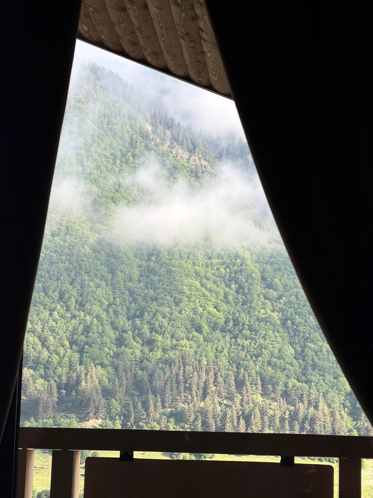 Foggy forested mountainside seen through a window in Mestia