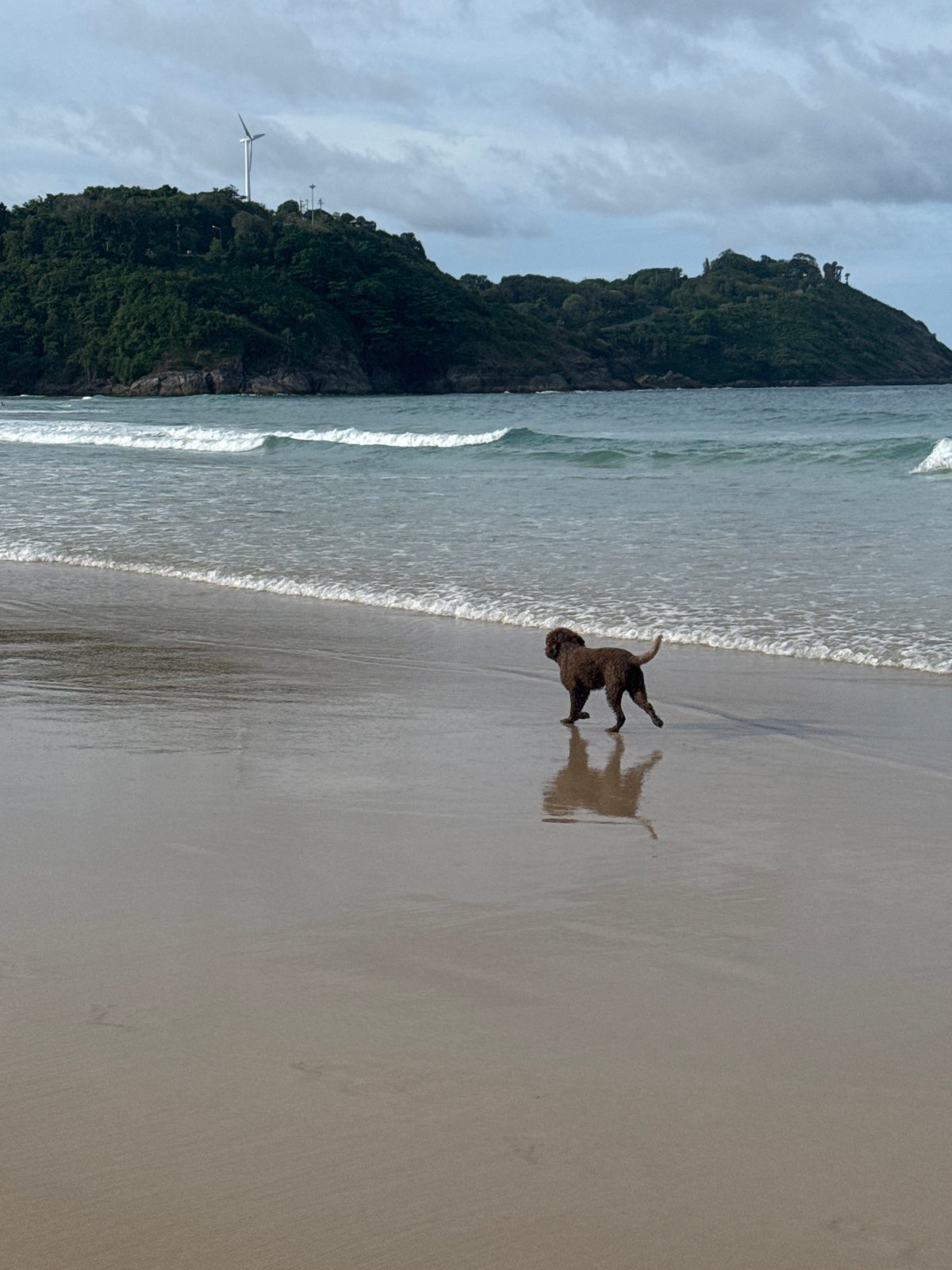 Early morning beach life documented at Rawai, Thailand