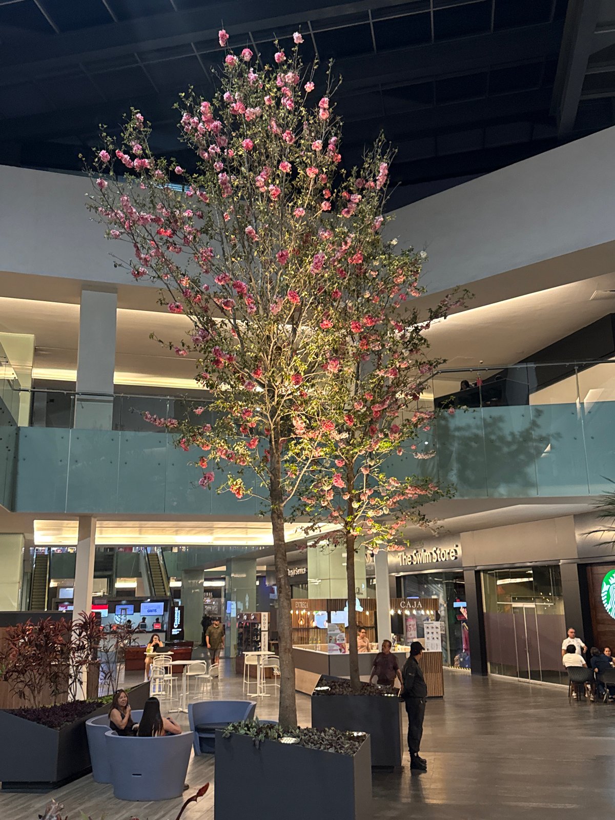 Early morning activities documented across Puebla shopping and fitness venues