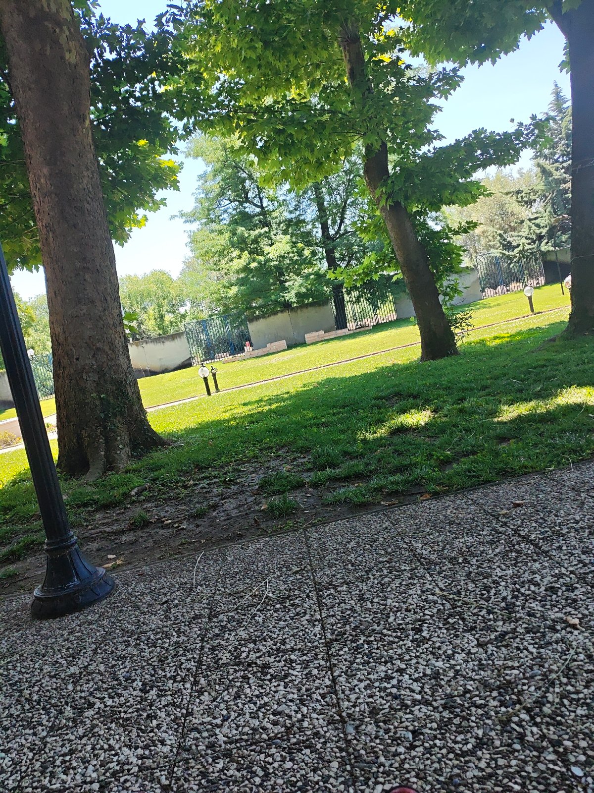 Fragmented memories capture park pathway scenes and web graphics