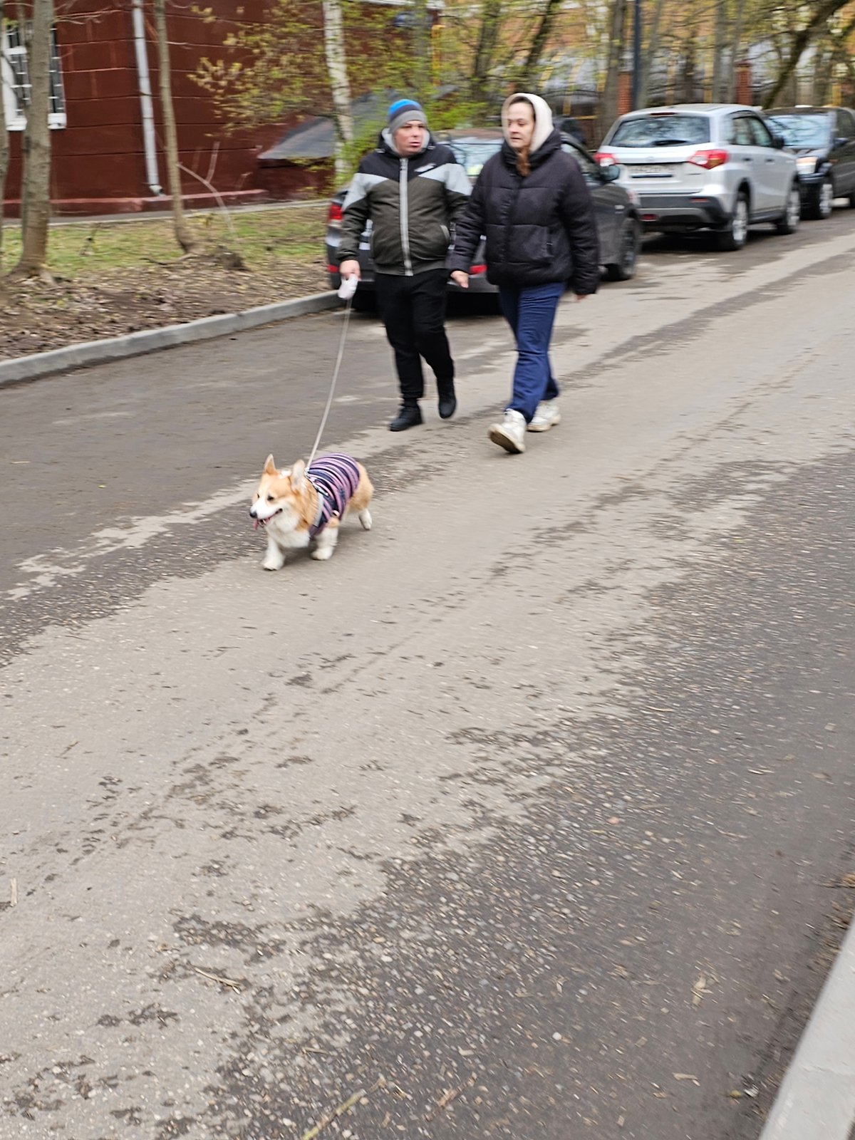 Spring morning life unfolds in Moscow residential neighborhood
