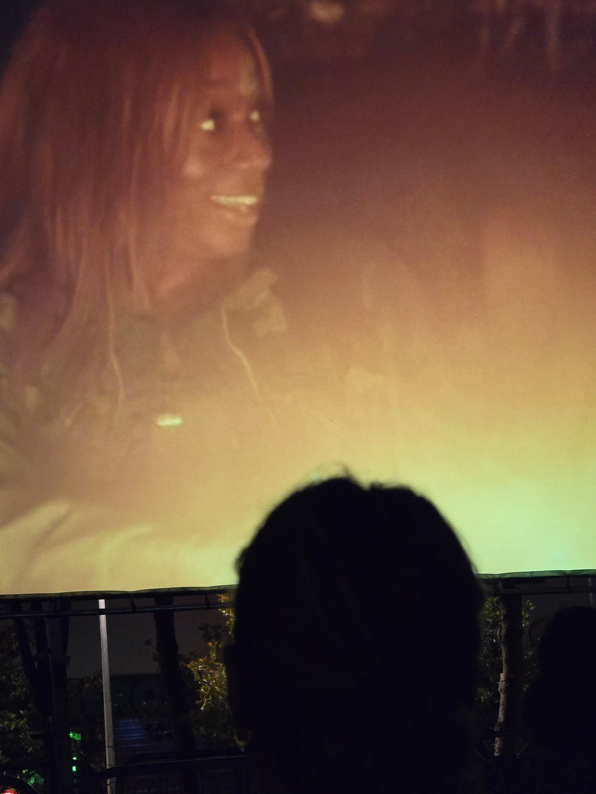 Outdoor film screening draws a crowd at Cornellà's Parc de Can Mercader