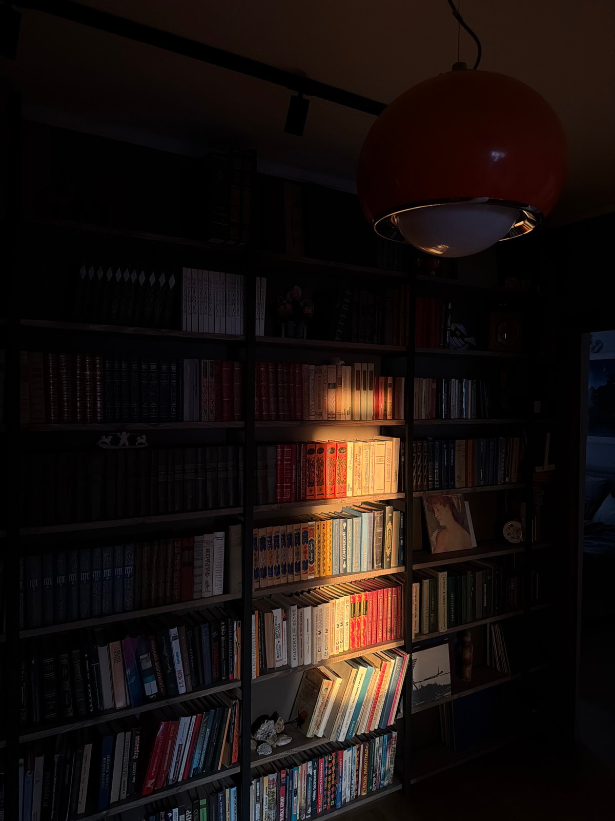 Quiet evening moments with books and pet bird in Khimki