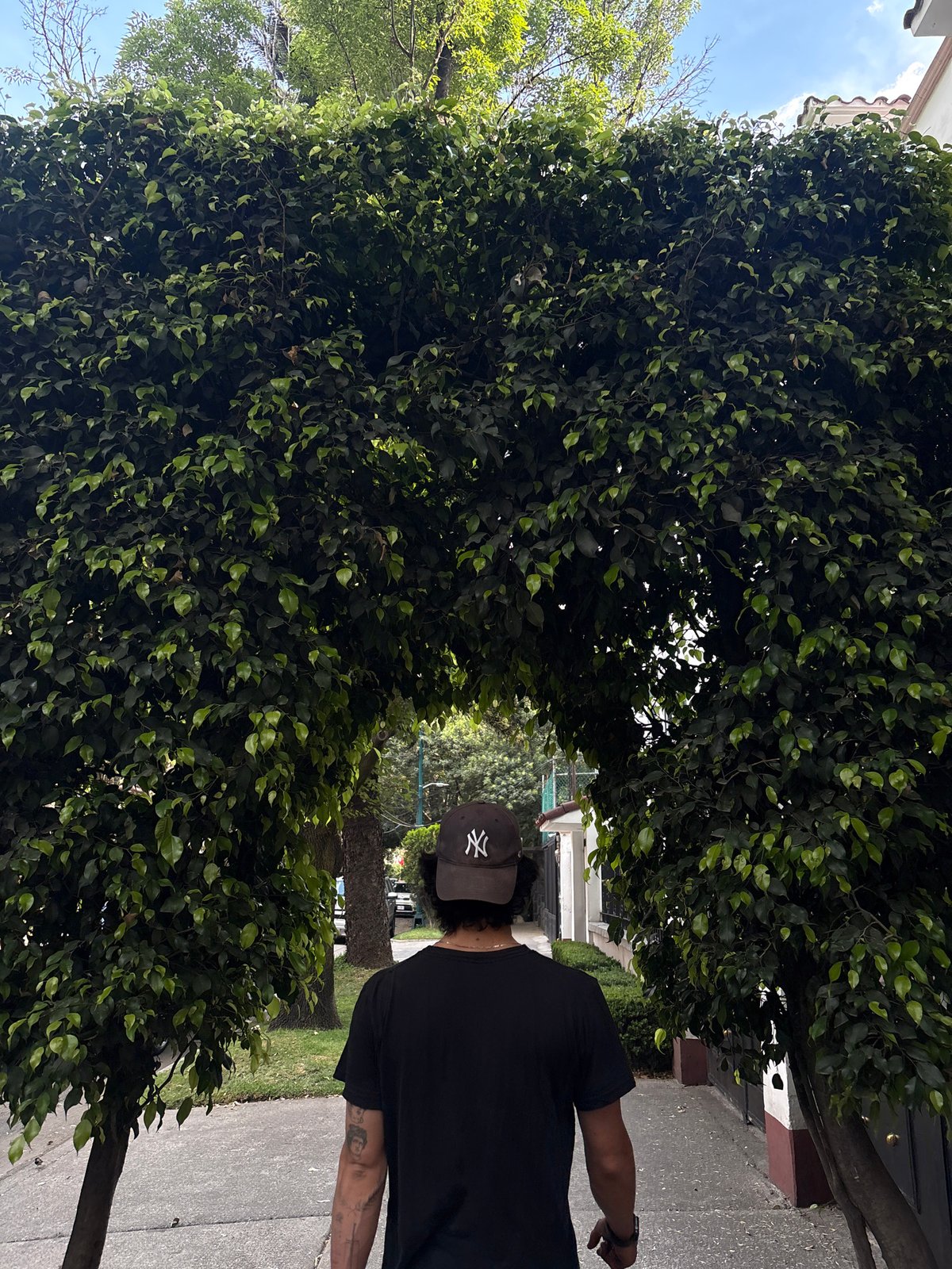 Man walks urban sidewalk in Mexico City evening