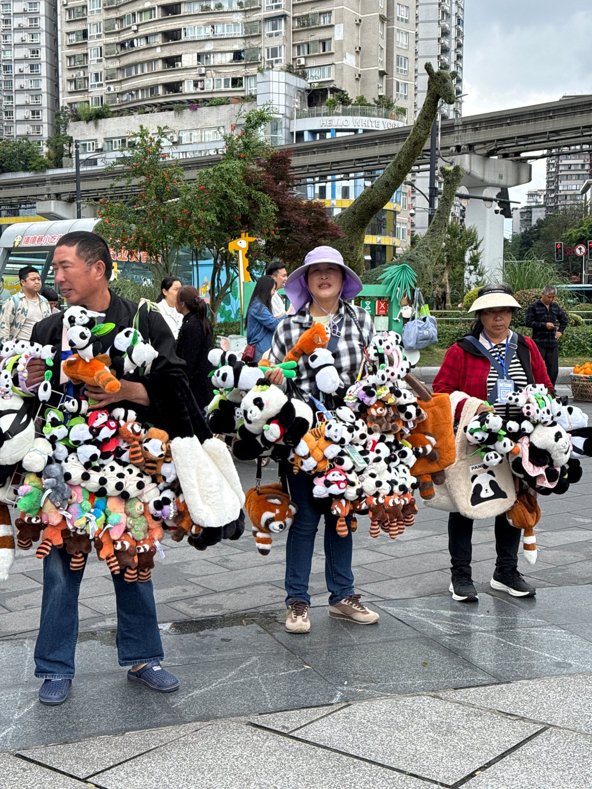 Morning street life observed in Jiulongpo District parks and streets