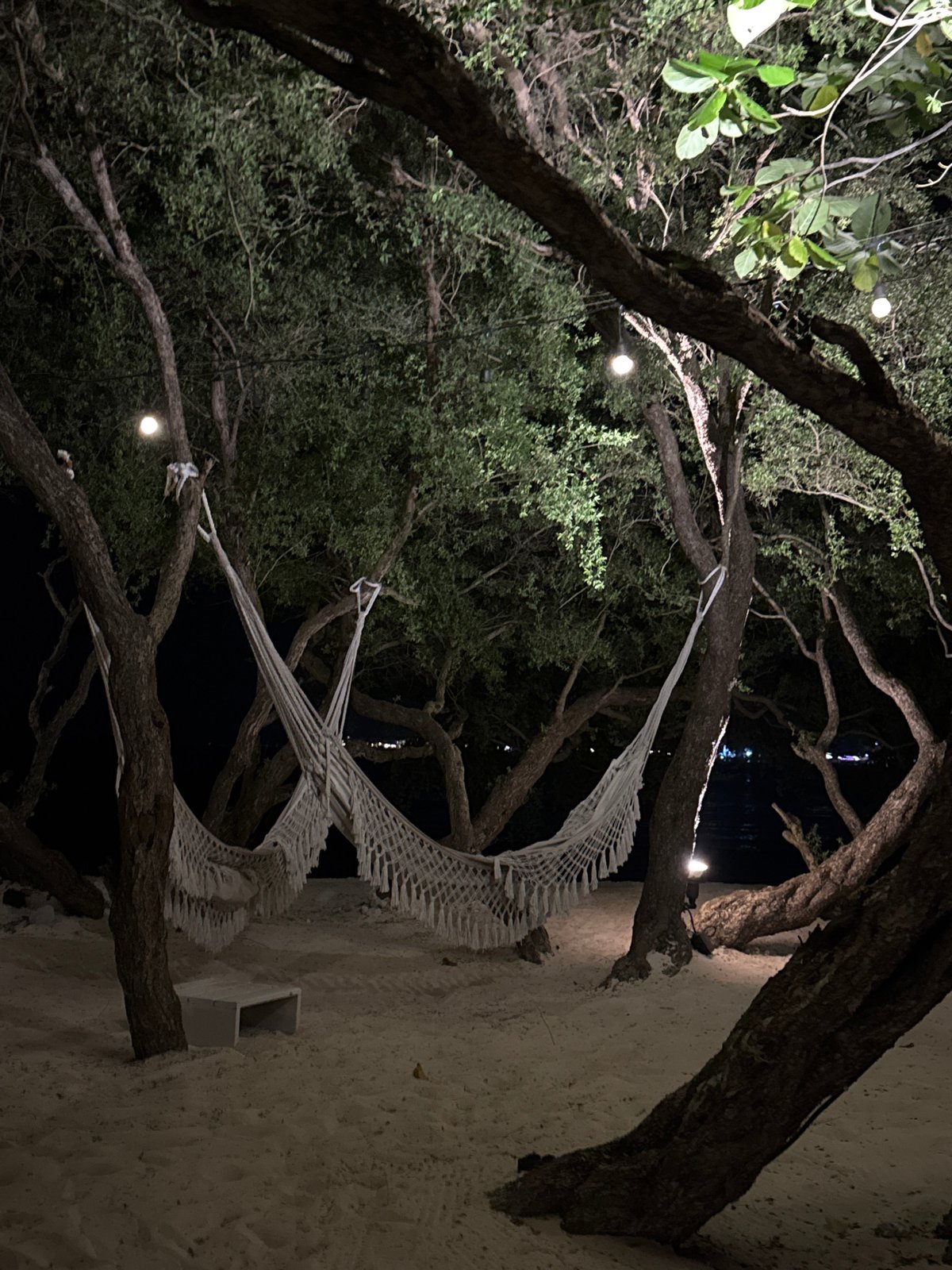 Nighttime entertainment scenes documented across Indonesia locations