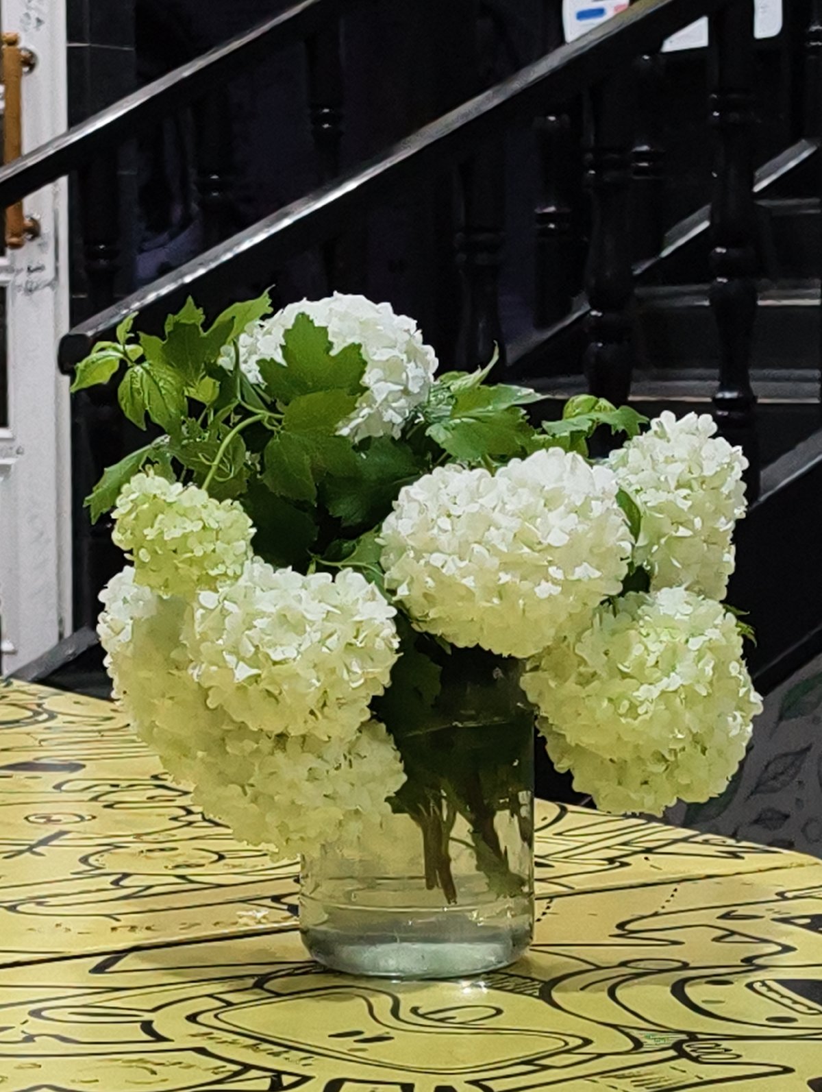 Interior scenes documented in Tashkent featuring flowers and space ape artwork