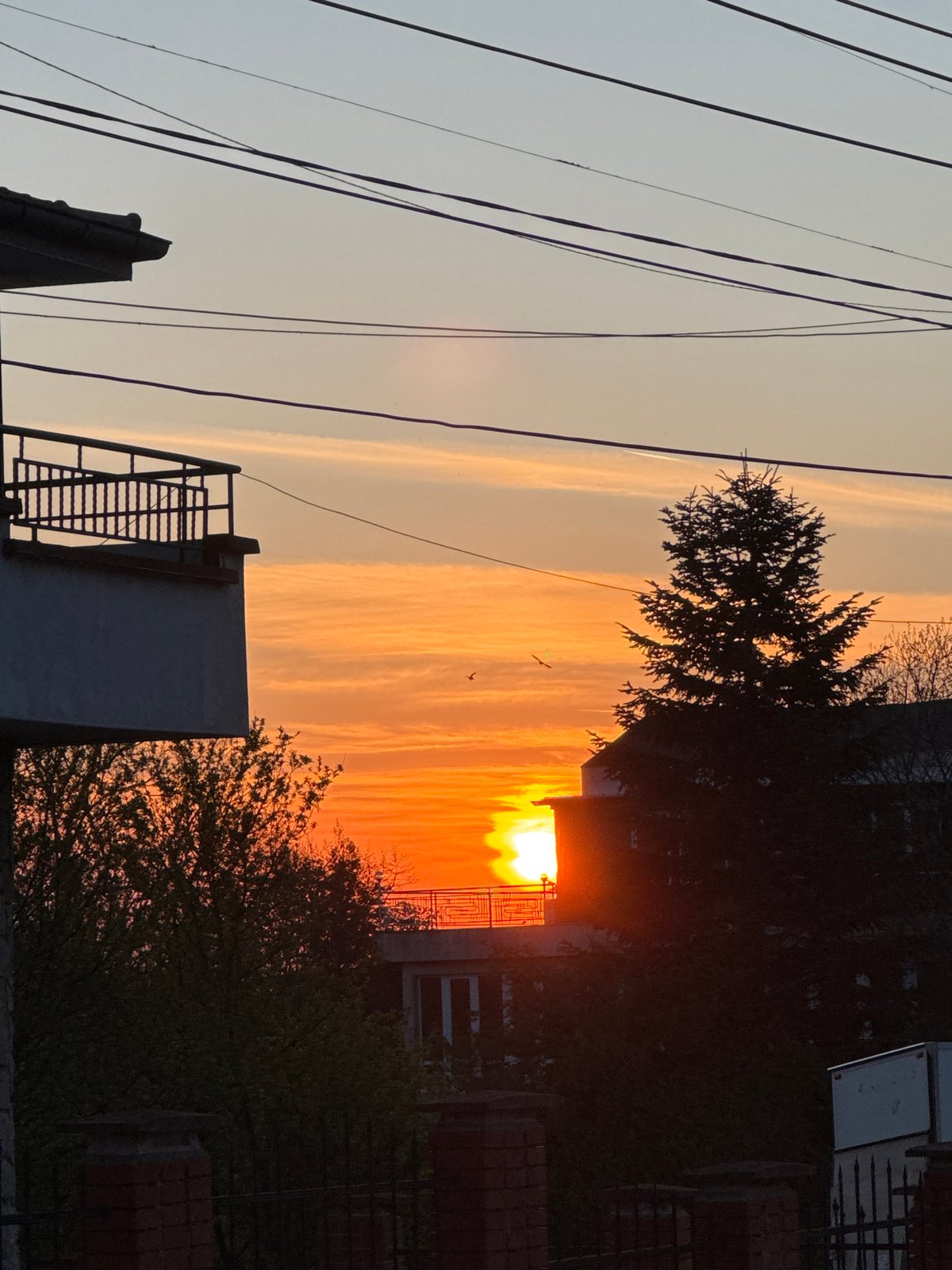 Orange sunset observed through utility lines in Burgas, Bulgaria