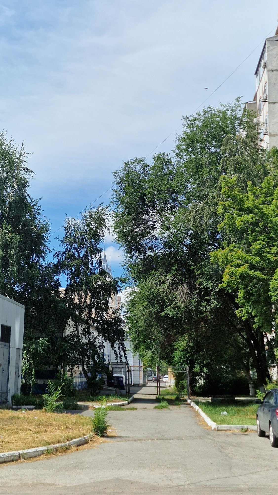 Street-level urban scenes across a Russian-speaking city on a July morning