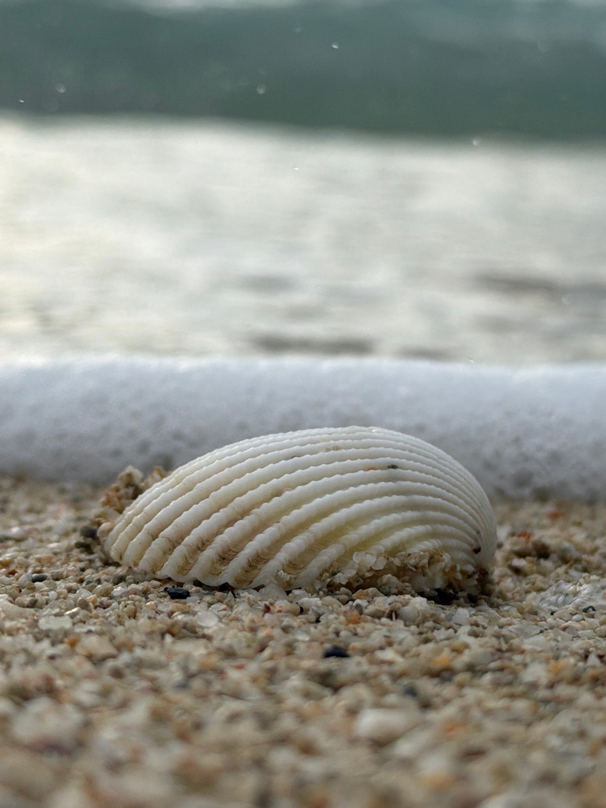 Casual beach scene snapshots from Ko Samui's shoreline