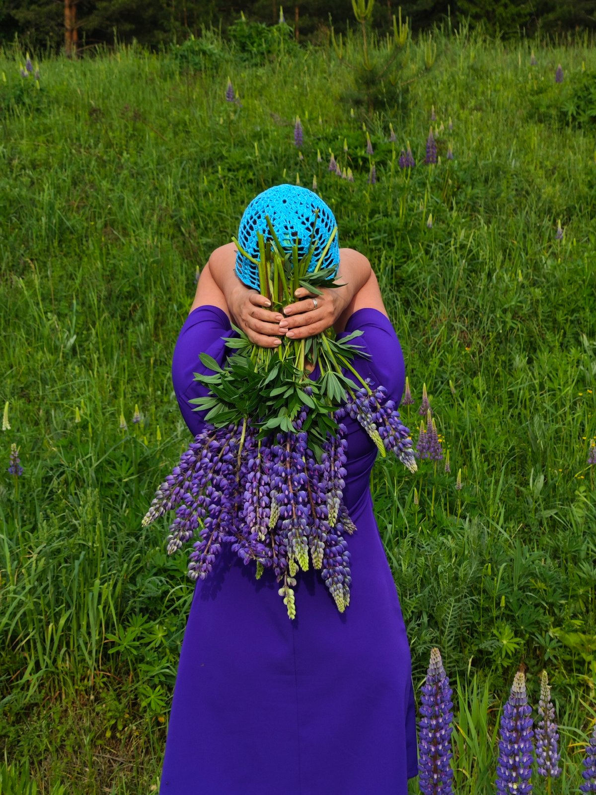 Woman collects purple lupine flowers in Chaikovsky, Russia
