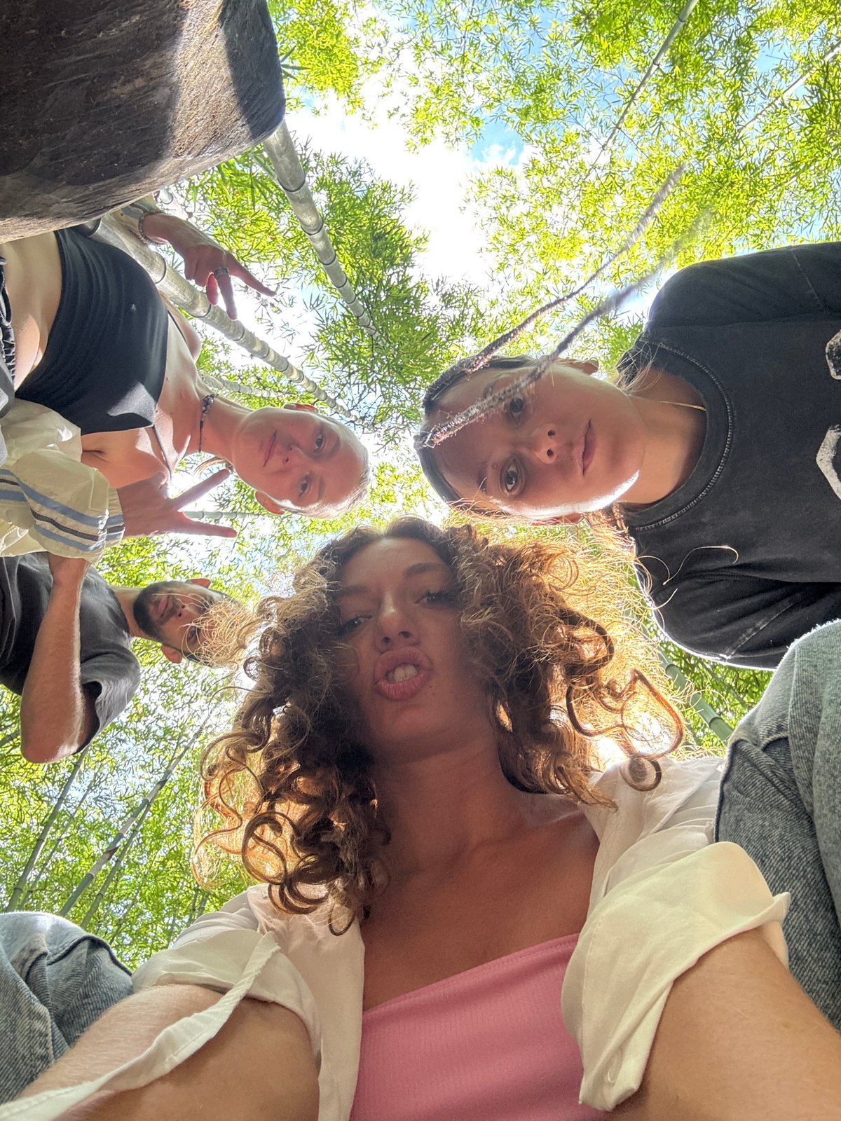 Group photographed in Vietnamese bamboo forest during morning visit
