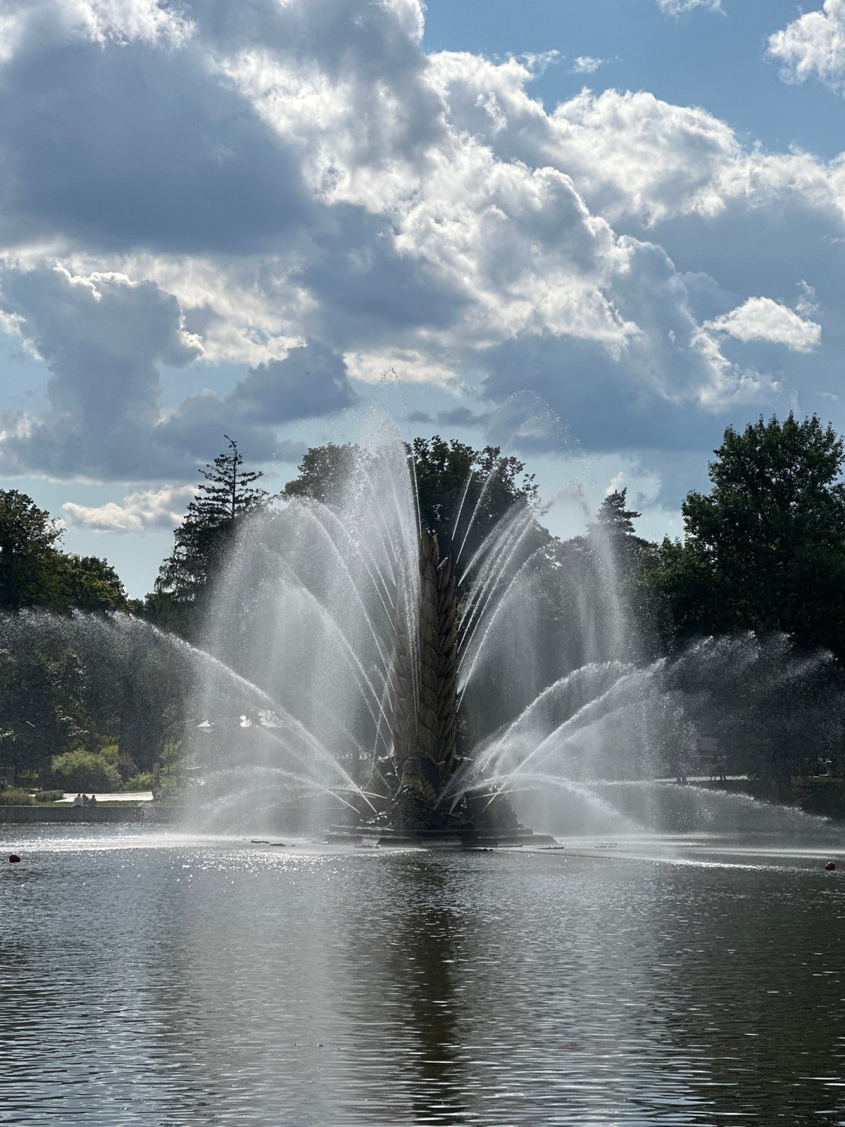 Summer afternoon at VDNKh — fountains, lake boats, and a dog