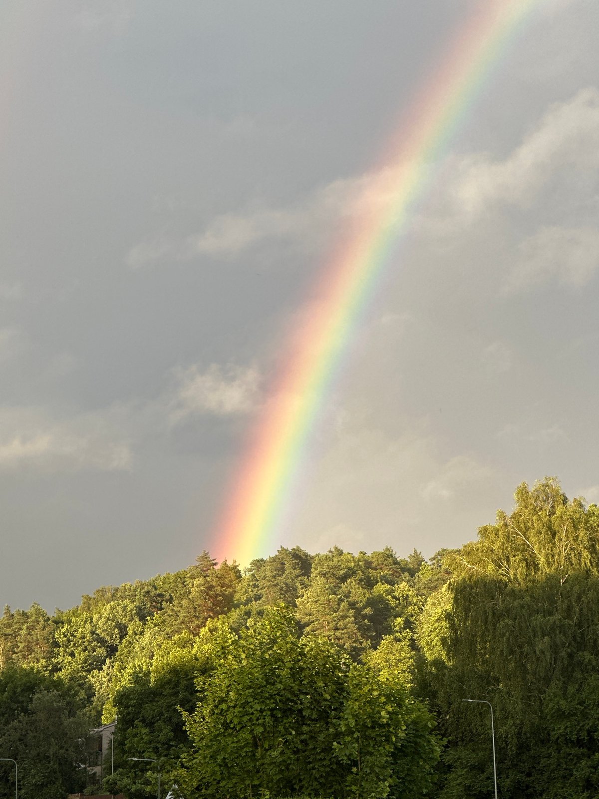 Double rainbow over a forested hillside in Vilnius