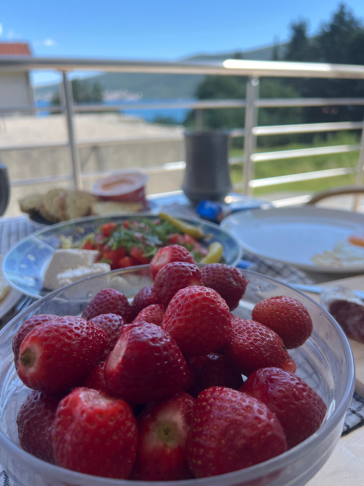 Rural breakfast and goat grazing documented in Montenegro