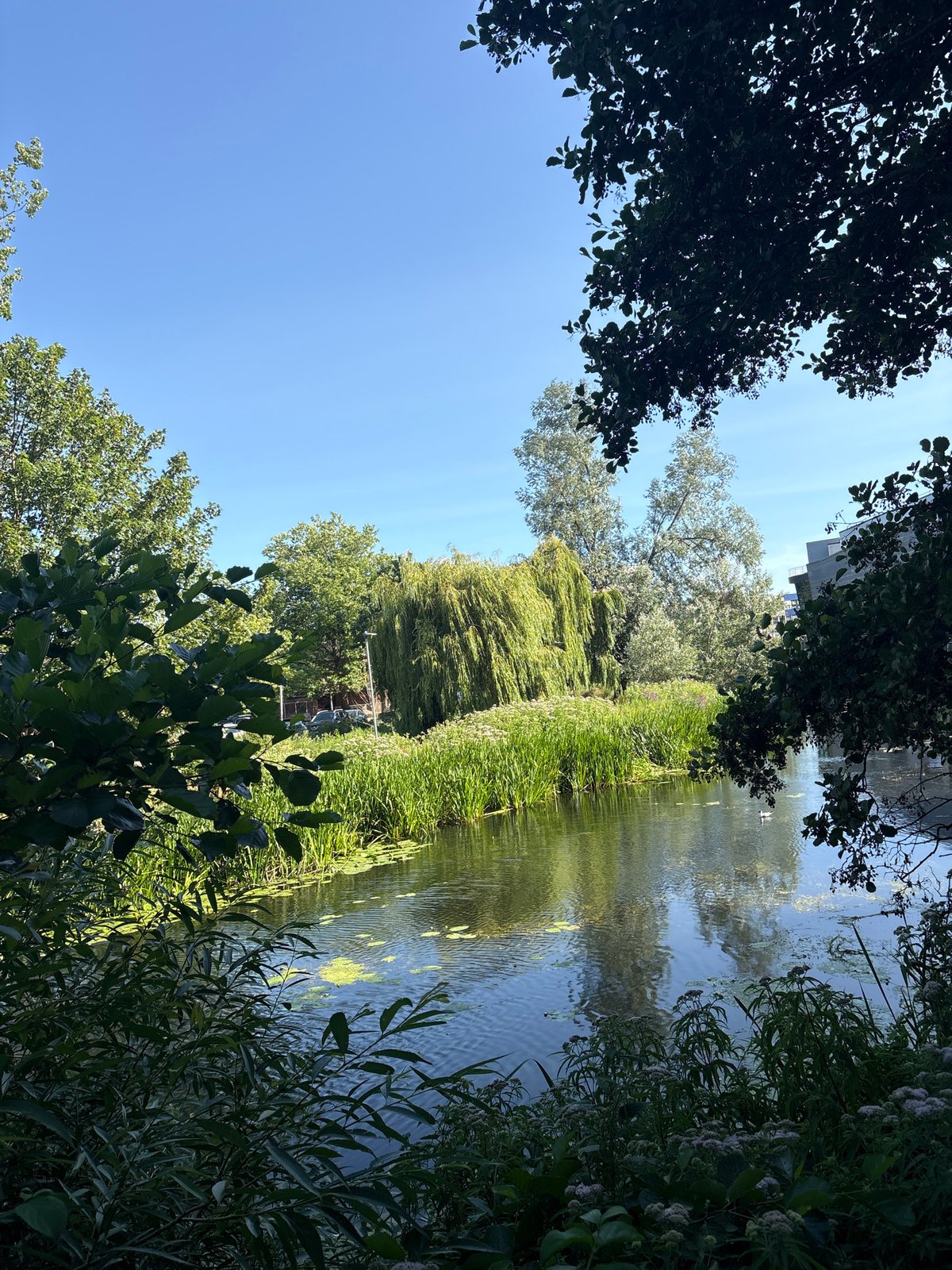 Strolling an urban canal path with murals and greenery