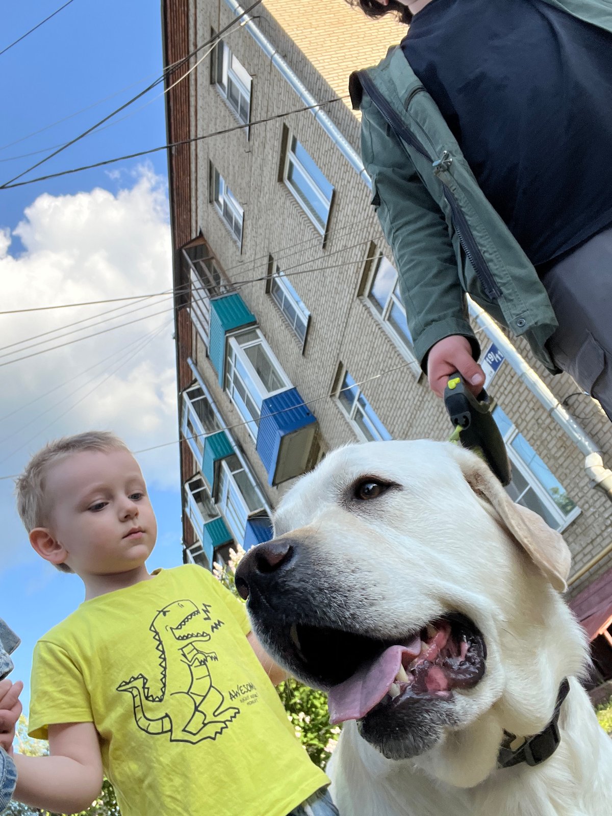 Child plays with dog amid blooming lilacs in Mytishchi