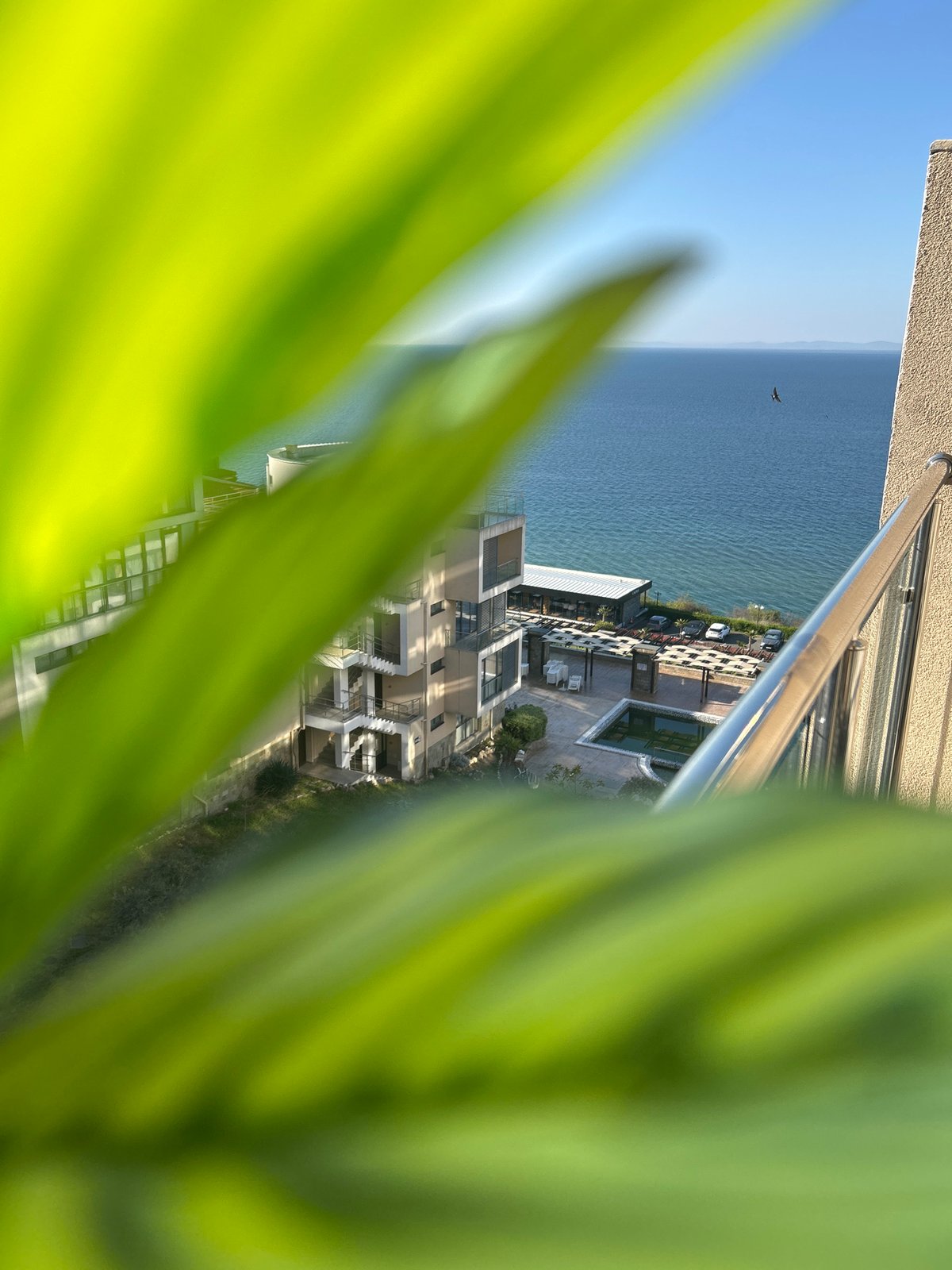 Morning balcony views captured overlooking Black Sea in Sveti Vlas