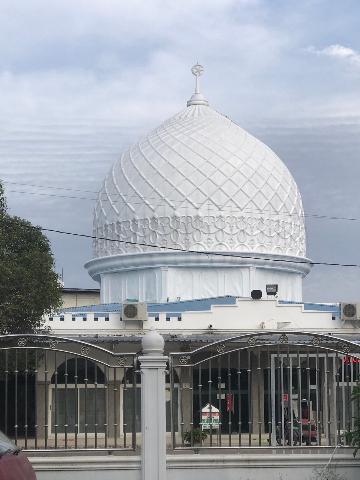 Morning documentation of Lhokseumawe landmarks and local flora
