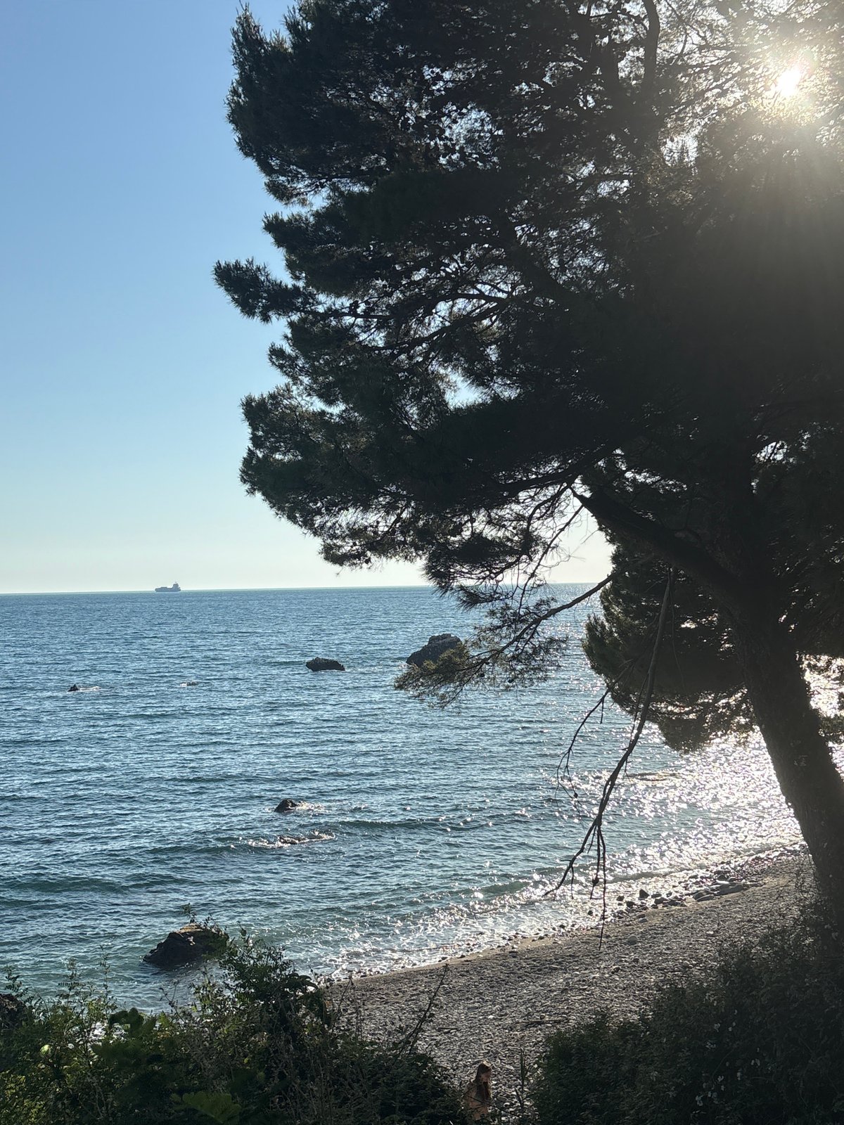 Coastal views recorded through trees along Montenegro's Adriatic shore