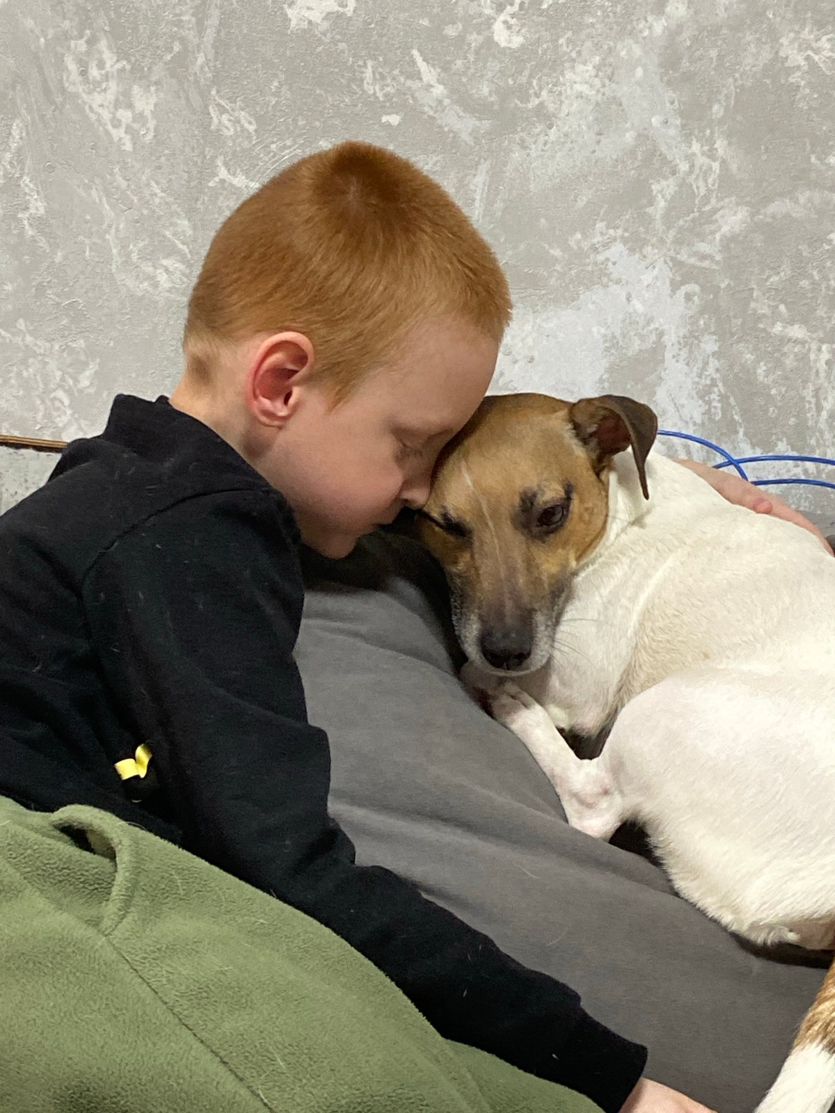 Family life moments with pets captured in Noviy Urengoy