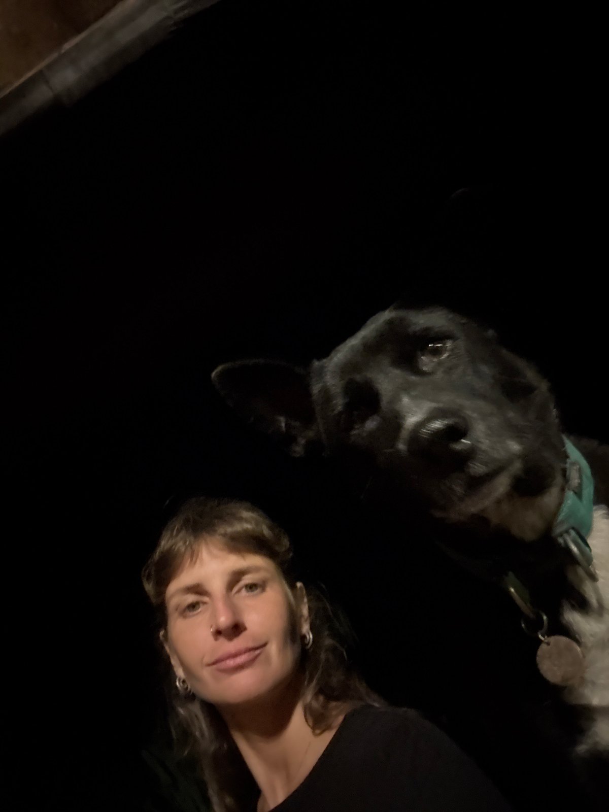 Dog plays with a bone at night alongside its owner