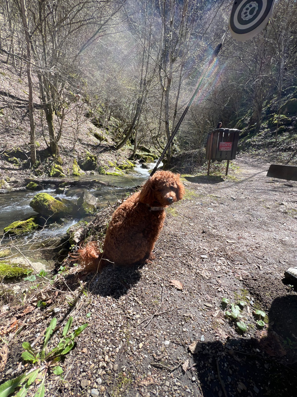 Spring morning visitors explore Teteven's forest streams and waterfalls