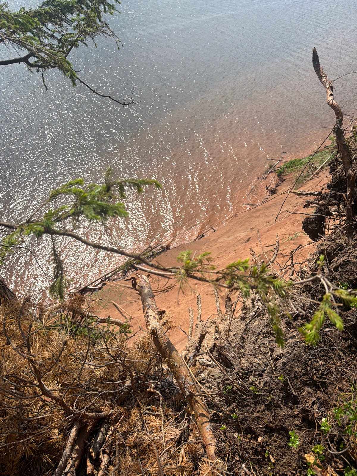 Clifftop views and forest cycling near Костоваты, Russia