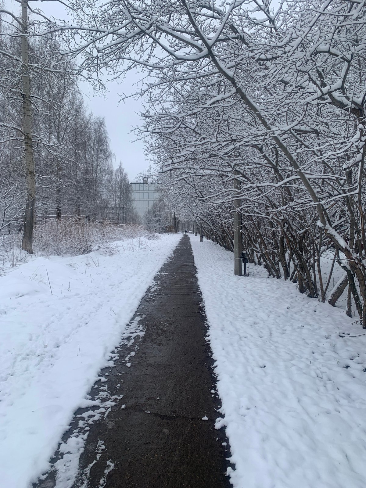 Winter scenes documented in snowy Chaikovsky, Russia