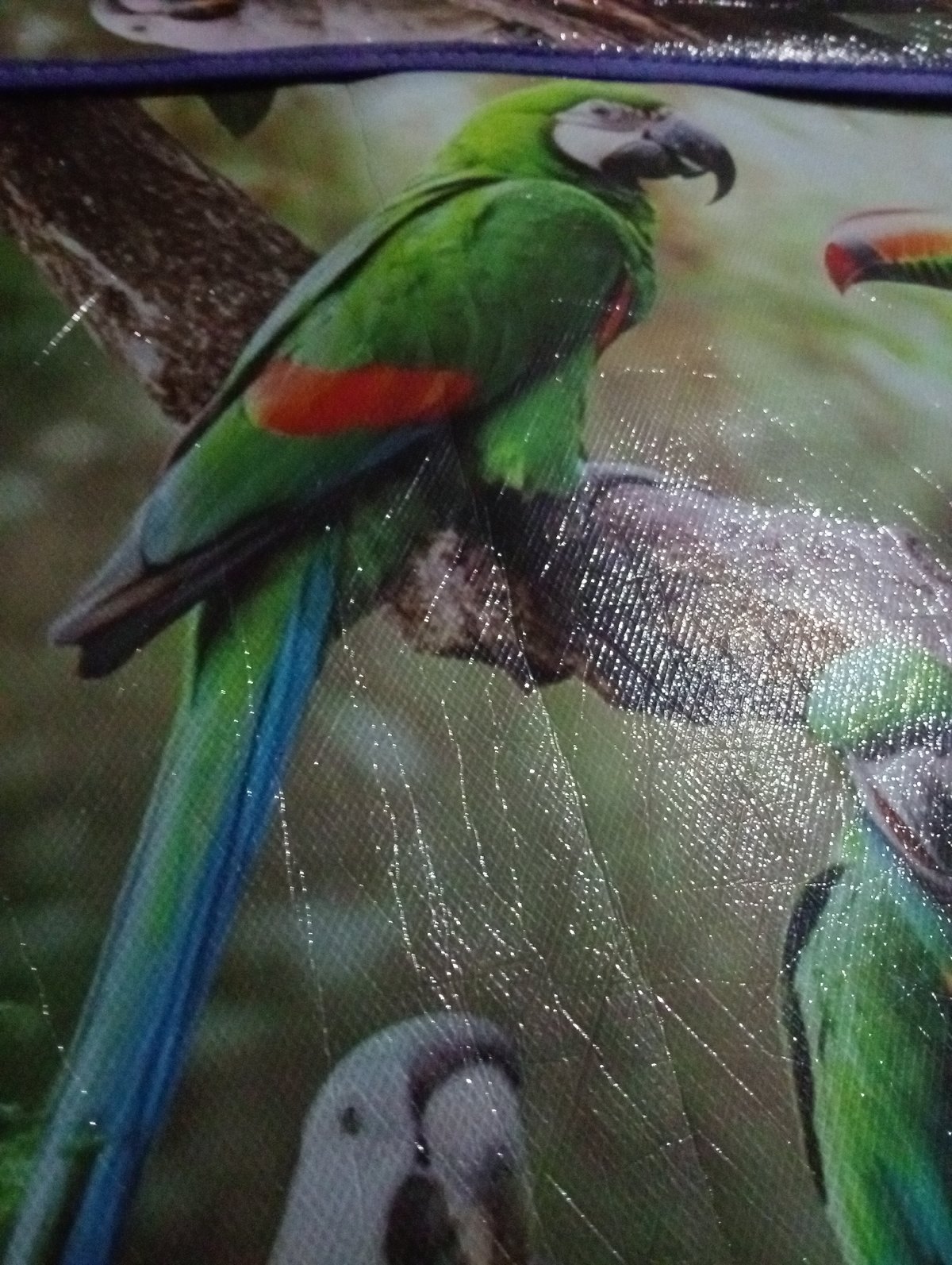 Tropical bird fabric design spotted in Indonesian village