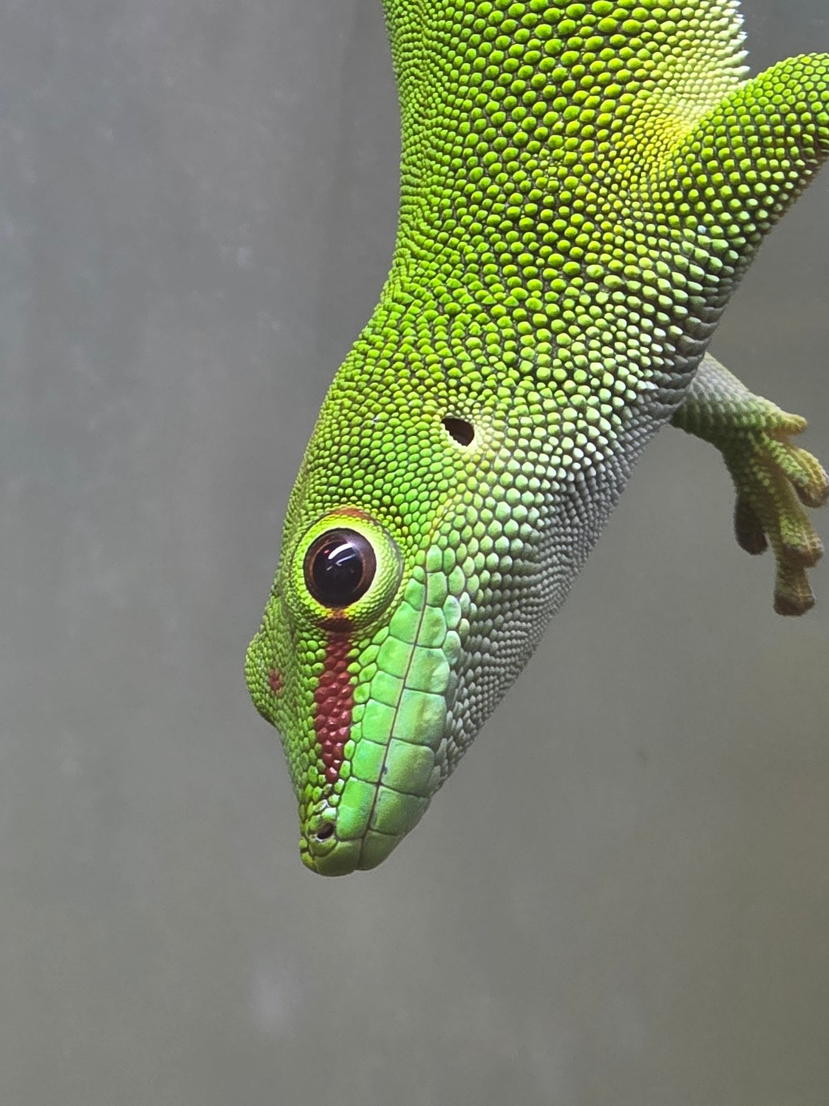 Visitor documents wildlife at Tijuana aquarium facility
