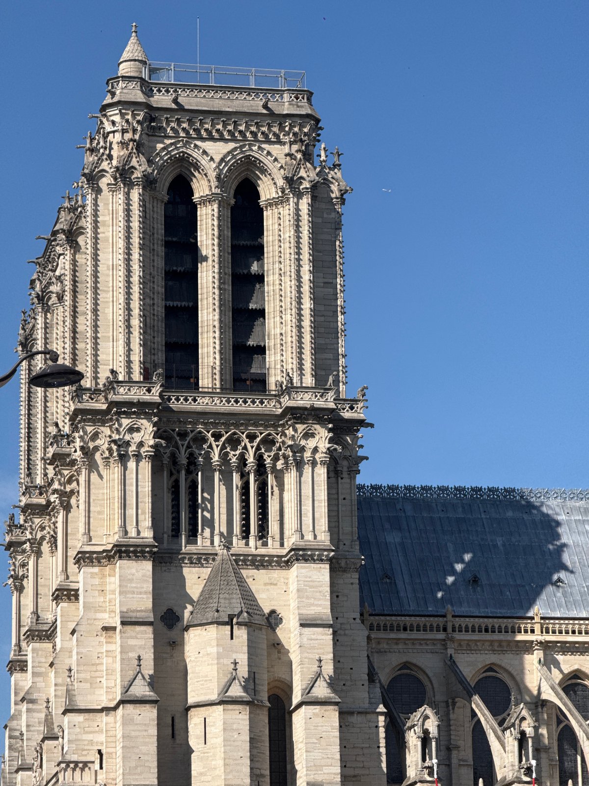 Up close with Notre Dame's Gothic stone facade in Paris
