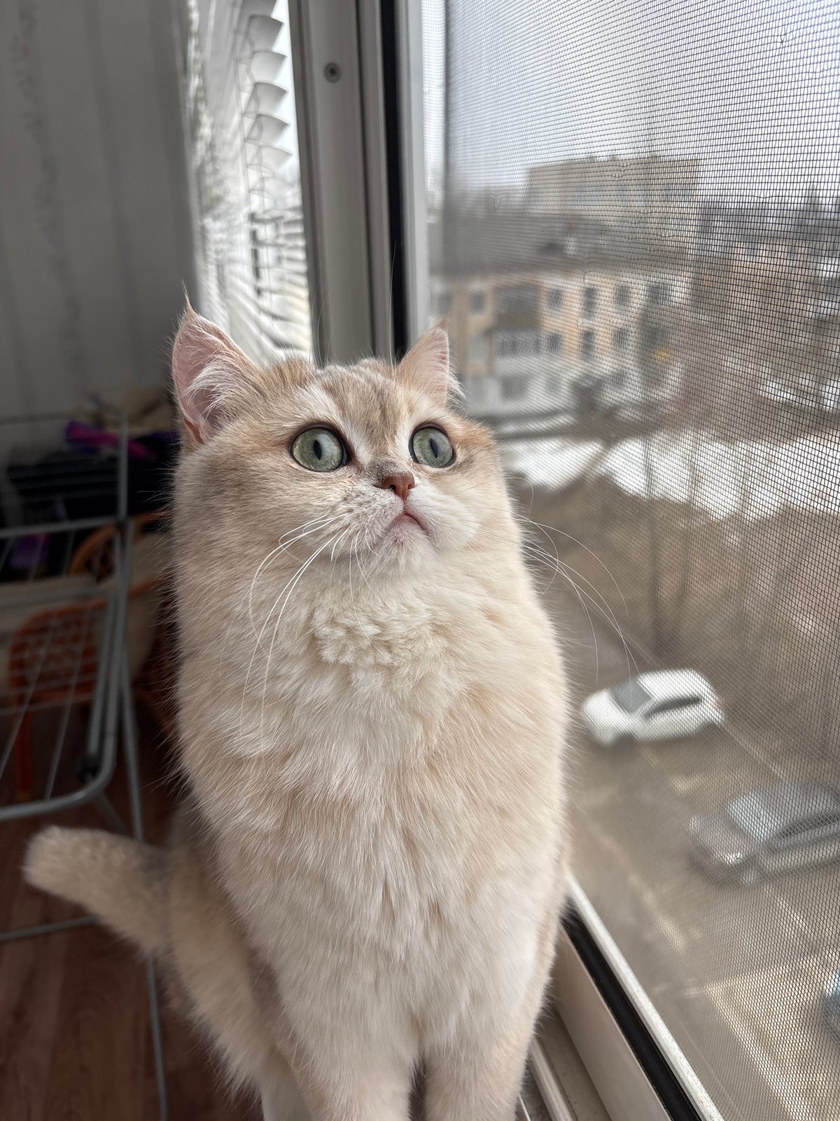 Morning climbing practice and casual moments documented in Chaikovsky