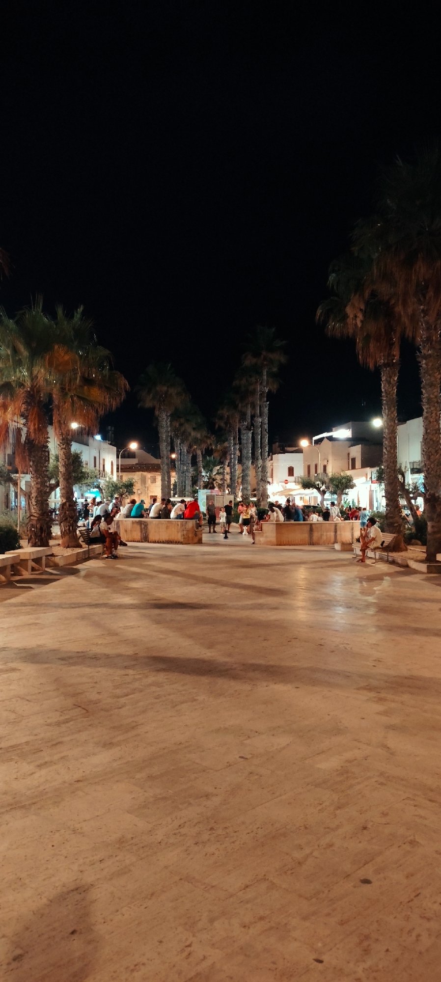 Night streets of San Vito Lo Capo, cat included