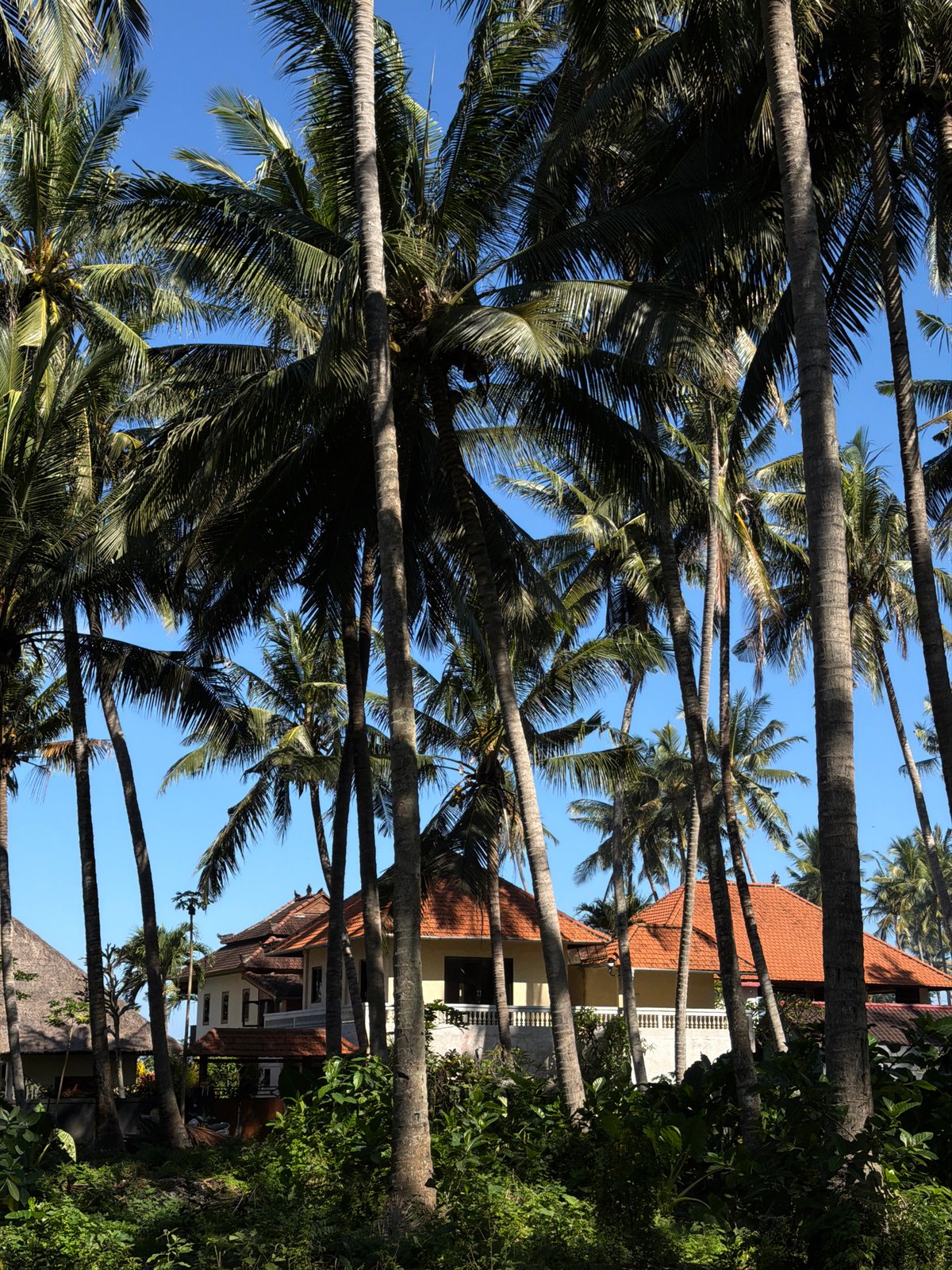 Clear morning skies over tropical Karangasem resort area