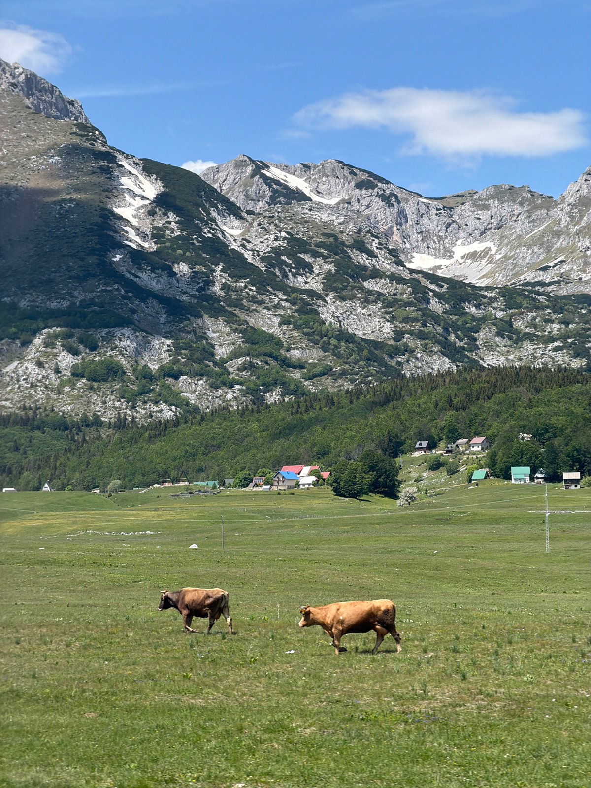 Clear morning views captured around Žabljak's mountain landscapes