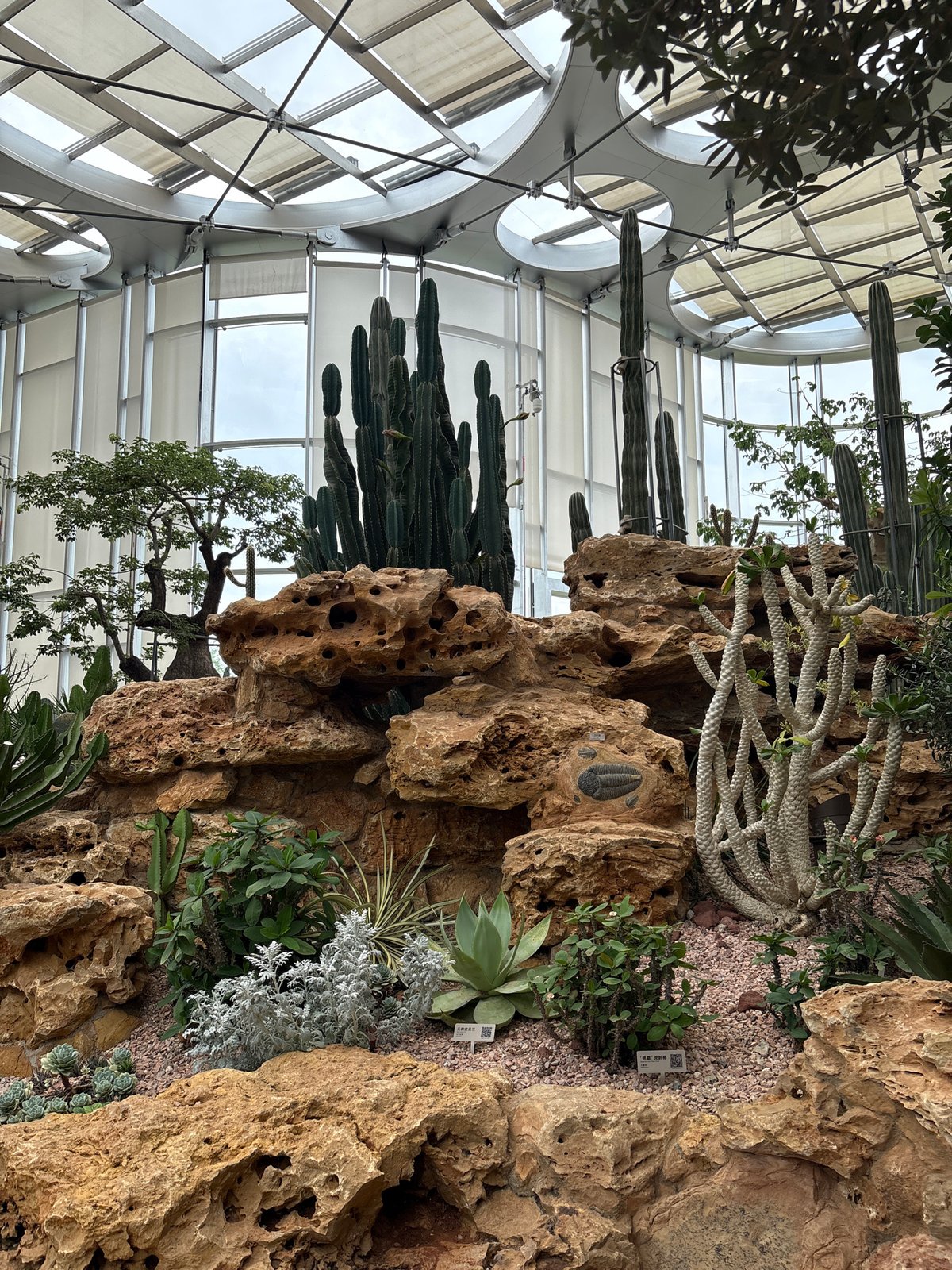 Inside Pudong's botanical conservatory: domes, cacti, orchids, and art