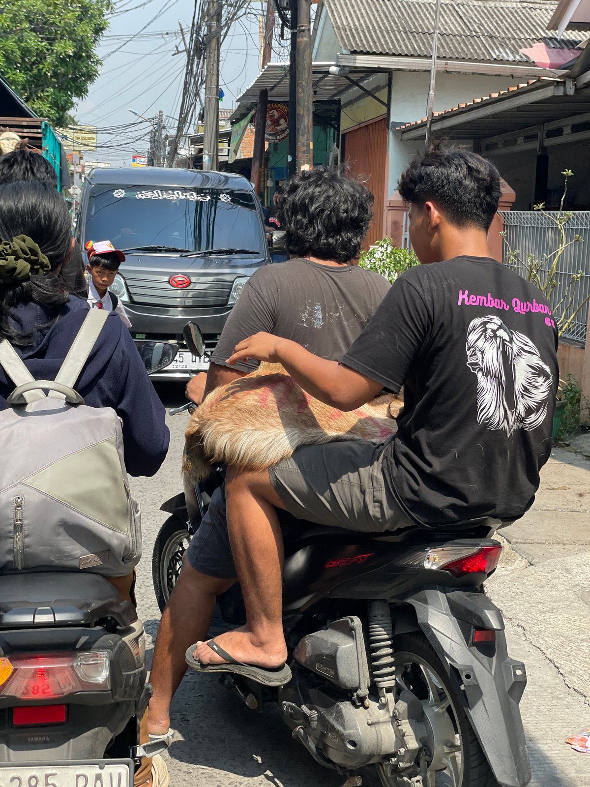 Motorcycle passengers transport goat through North Jakarta streets