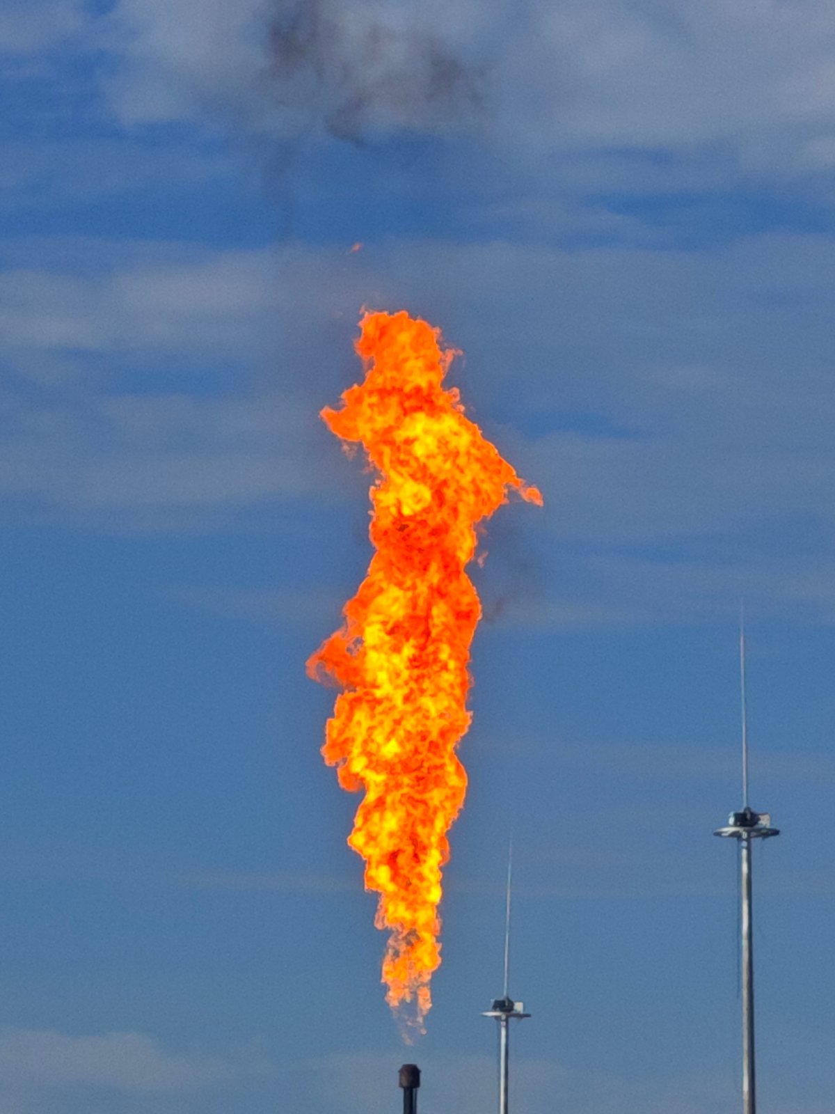Wildlife spotted at industrial facility with active flare operations
