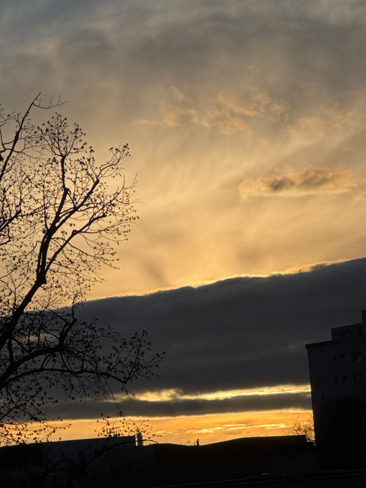 Dramatic golden sunset captured across Strasbourg skyline
