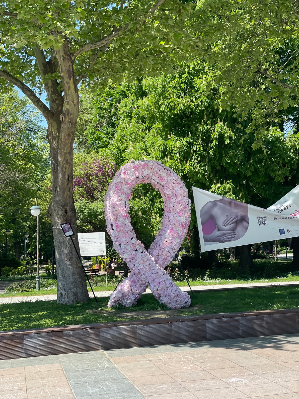 Morning life documented across Plovdiv's historic center and commercial areas