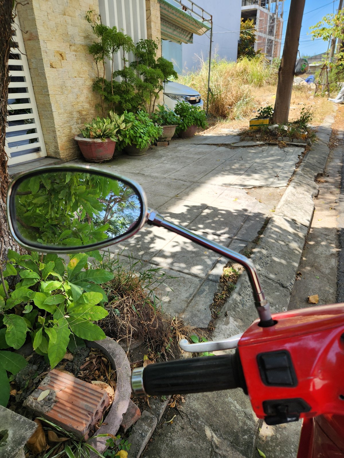 Scooter rides and indoor moments with poodle in Đà Nẵng