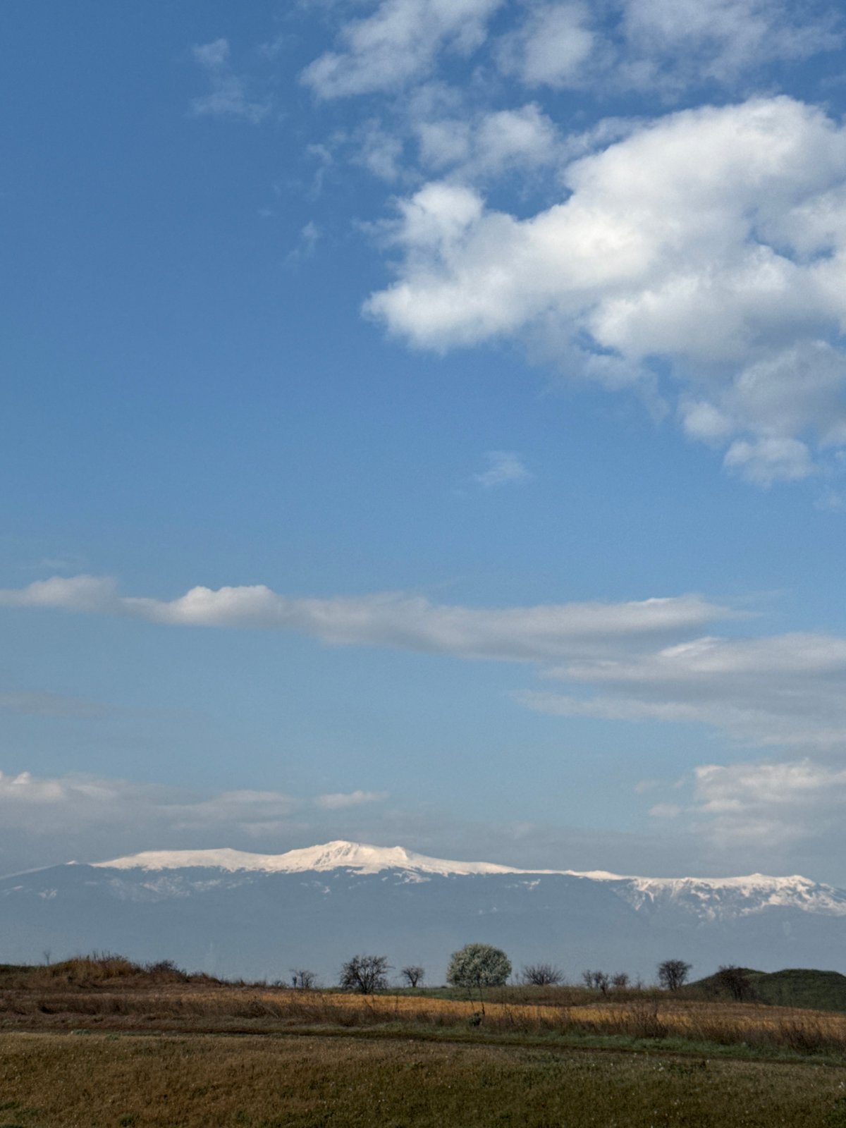 Roadside stop captured near Sofia amid rural landscape