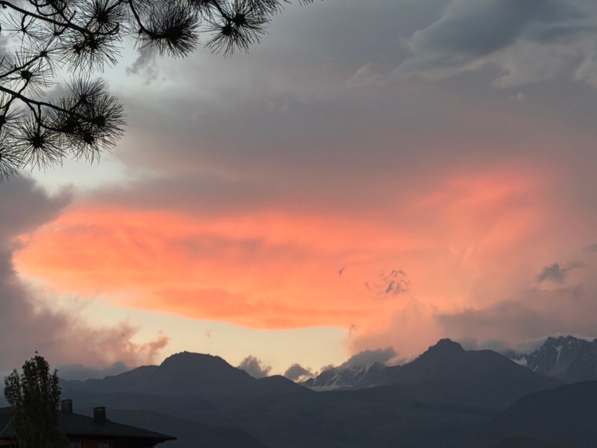 Pine silhouette frames a mountain sunset near Çolpon-Ata