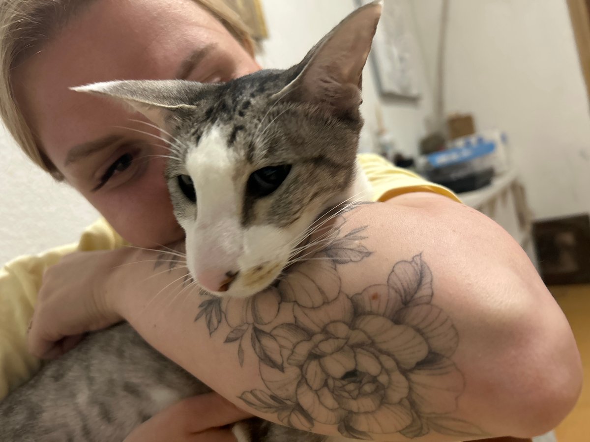 Person holds distinctive large-eared cat on Barcelona street