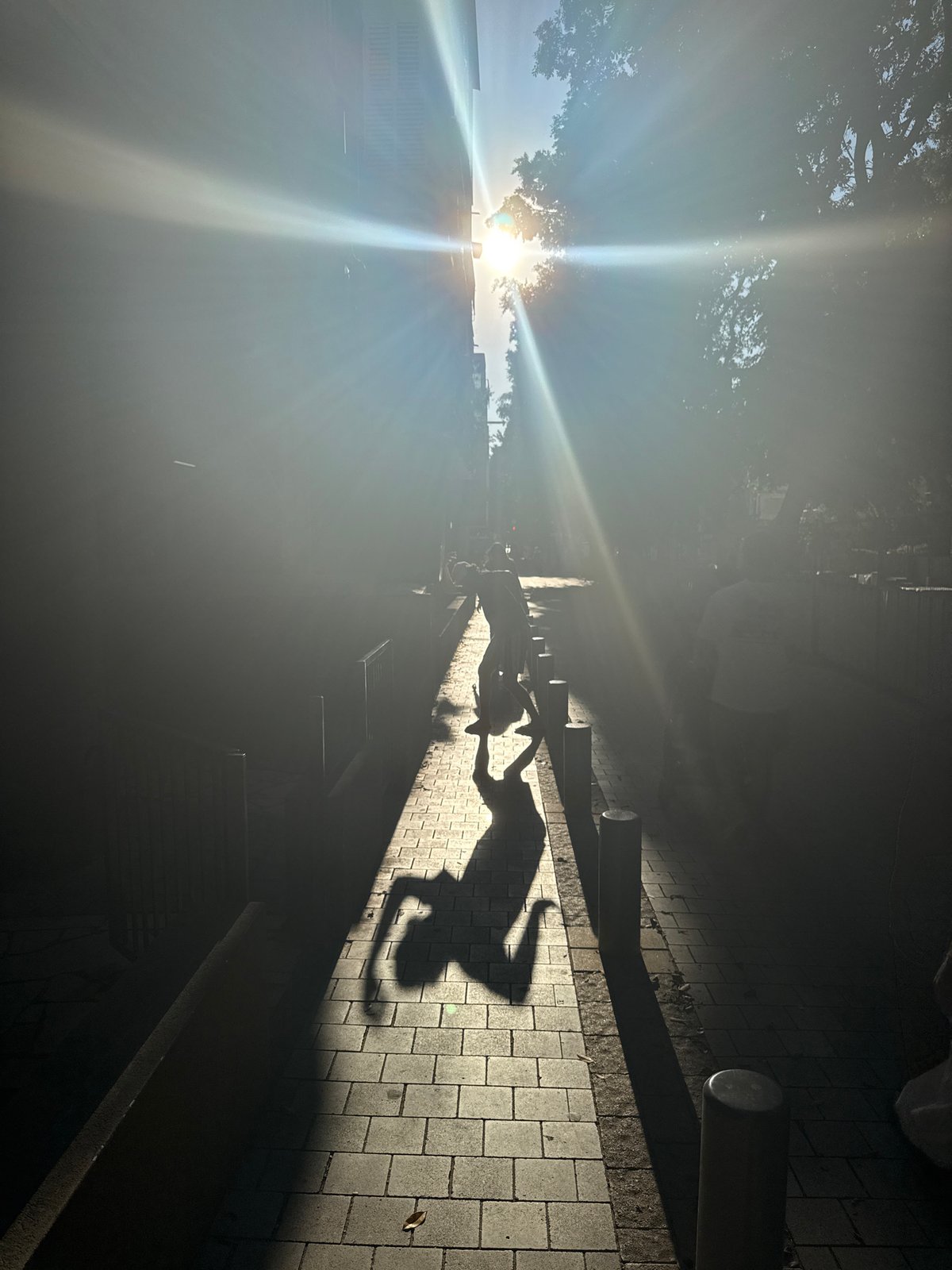 Bright afternoon foot traffic on a sunny Tel Aviv street